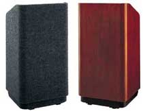 AV Cases